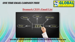 Denmark CEO's Email List