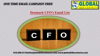 Denmark CFO's Email List