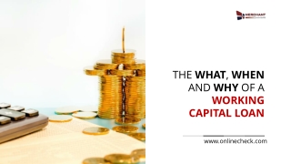 The What, When and Why of A Working Capital Loan
