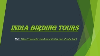 India Birding Tours