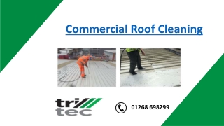 Commercial Roof Cleaning | Roof Cleaning Services
