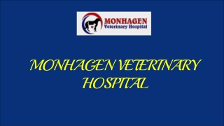 Monhagen Veterinary - #1 Animal Hospital Middletown