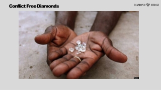 Conflict Free Diamonds - DiamondHedge