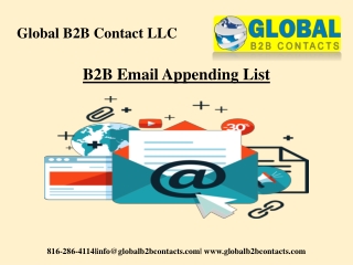 B2B Email Appending List