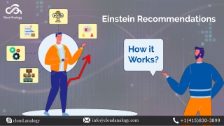 Einstein Recommendations