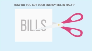 How Do you Cut your Energy Bill in Half ? - Panda Cashback