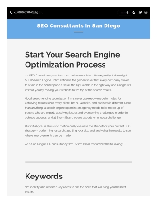 SEO Consultants in San Diego - Stormbrain