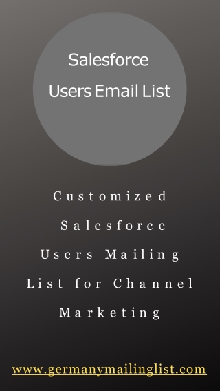 SalesForce Users Email Lists