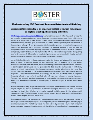 Understanding ICC Protocol Immunohistochemical Staining
