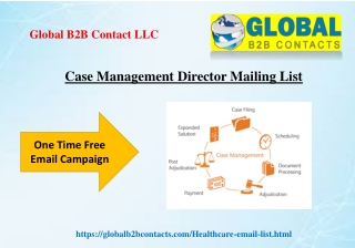 Case Management Director Mailing List