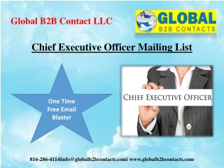 Chief Executive Officer Mailing List