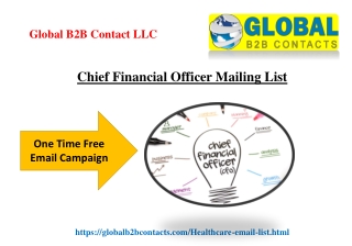 Chief Financial Officer Mailing List