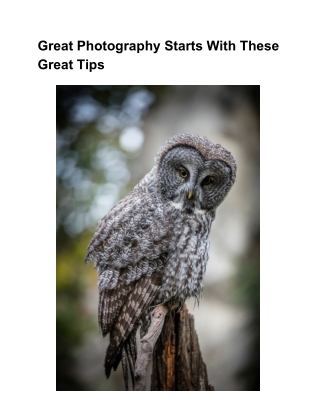 Great Photography Starts With These Great Tips