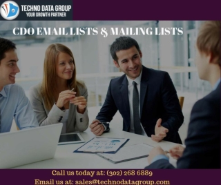 CDO Email Lists & Mailing Lists | Chief Data Officer Email Lists in USA