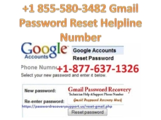 Gmail Password Reset Helpline Number