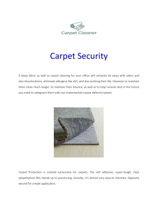 Professional Carpet Cleaner Auckland | Carpet-Cleaner.Co.Nz