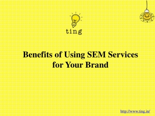 Benefits of Using SEM Services for Your Brand