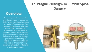 An Integral Paradigm To Lumbar Spine Surgery