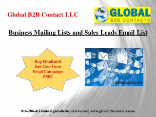 Business Mailing Lists and Sales Leads Email List