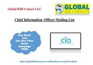 Chief Information Officer Mailing List