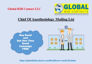 Chief Of Anesthesiology Mailing List