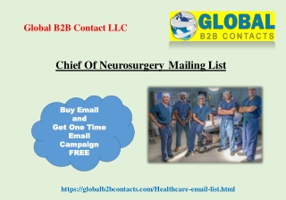 Chief Of Neurosurgery Mailing List