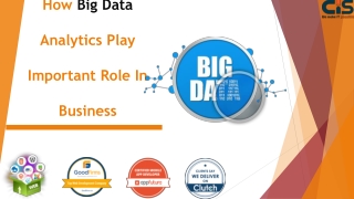 How Big Data analytics play an important role in business