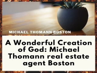 Learn and meet the Michael Thomann consulting Boston for best services