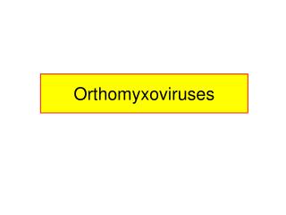 Orthomyxoviruses