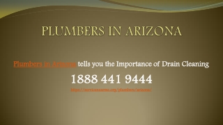 Plumbers in Arizona tells you the Importance of Drain Cleaning