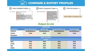 Export Multiple Profiles of Salesforce in few clicks