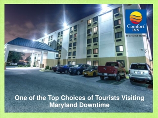 One of the Top Choices of Tourists Visiting Maryland Downtime