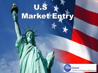 U.S Market Entry | Global Market Entry services