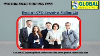 Denmark CVD Executives Mailing List