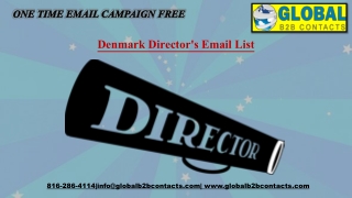 Denmark Director's Email List