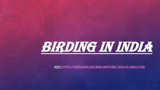 Birding in India