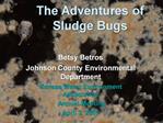 The Adventures of Sludge Bugs