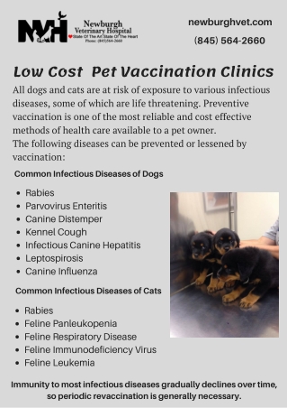 Low Cost Mobile Pet Vaccination Clinics - Veterinarian Newburgh