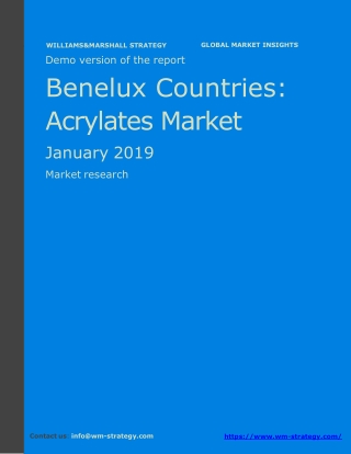 WMStrategy Demo Benelux Countries Acrylates Market January 2019