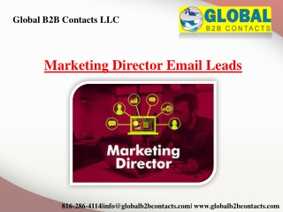 Marketing Director Email Leads