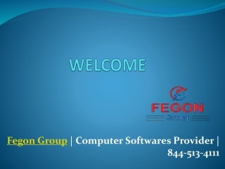 Fegon Group | Computer Softwares Provider | 8445134111