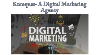 Kumquat a digital marketing agency www.kumquatdigital