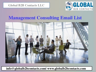 Management Consulting Email List