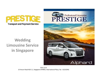 Corporate Car Rental, Taxi to Hello Kitty Land in Singapore - Prestige Transport