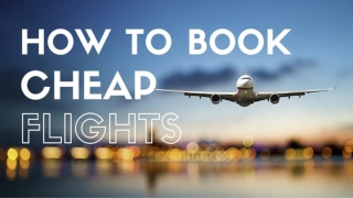Book Cheap Flights With Delta Airlines 1-800-587-0035