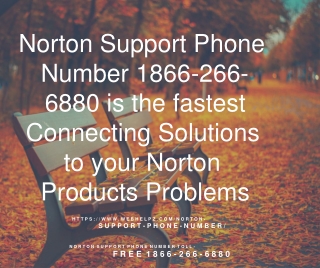 Norton Support Phone Number