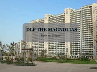 DLF The Magnolias - 3BHK / 4BHK Flats in Sector 54 DLF Phase 5, Gurgaon