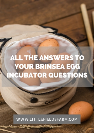 All the Answers to your brinsea egg incubator questions