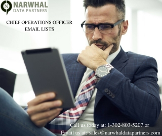 Best chief operation officer email list in usa