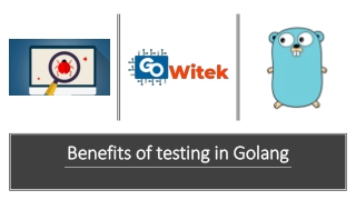 Golang testing
